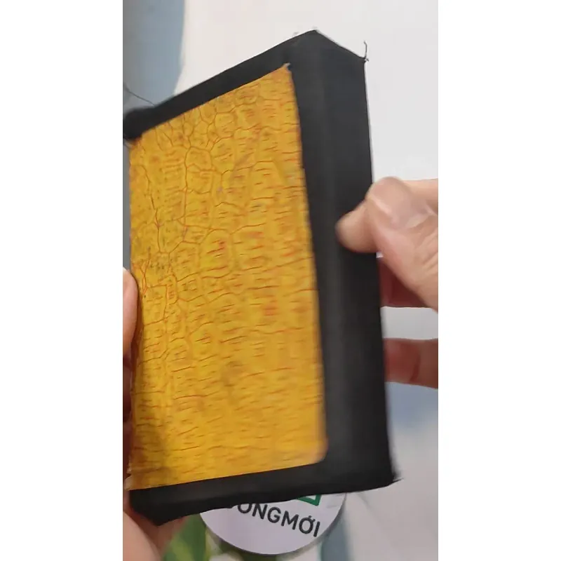 [MIỄN PHÍ BỌC SÁCH] [XƯA] Thiên Chúa Thánh Giá Nhựt Khóa (1965) 775949