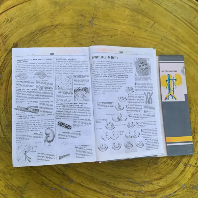 TỪ ĐIỂN Y HỌC ANH - VIỆT  nhà xuất bản từ điển Bách Khoa 790404