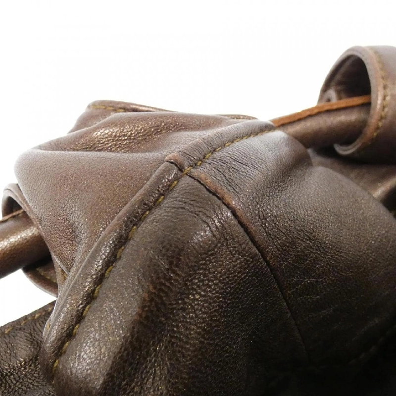 Túi Loewe Briza - Hàng hiệu Chính hãng 769792