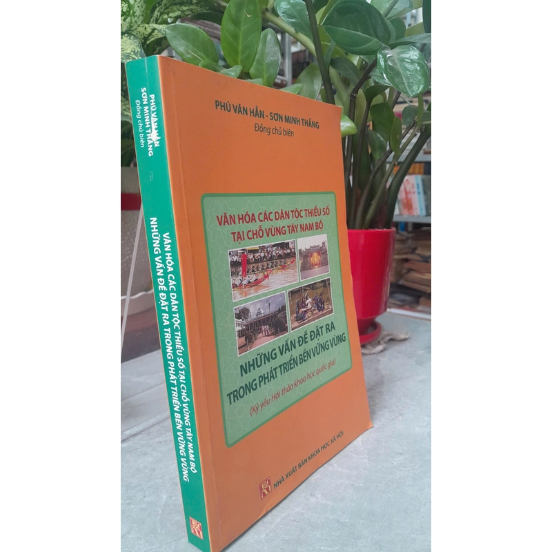 NHỮNG VẤN ĐỀ ĐẶT RA TRONG PHÁT TRIỂN BỀN VỮNG VÙNG 382889