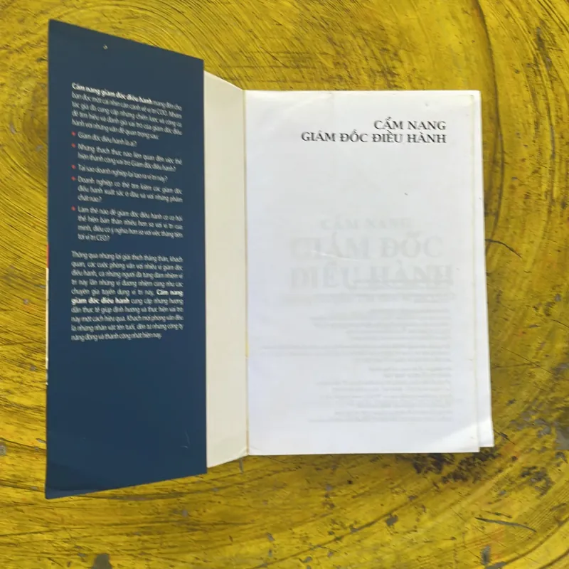 CẨM NANG GIÁM ĐỐC ĐIỀU HÀNH - nathan bennett & stephen a. miles 1002476