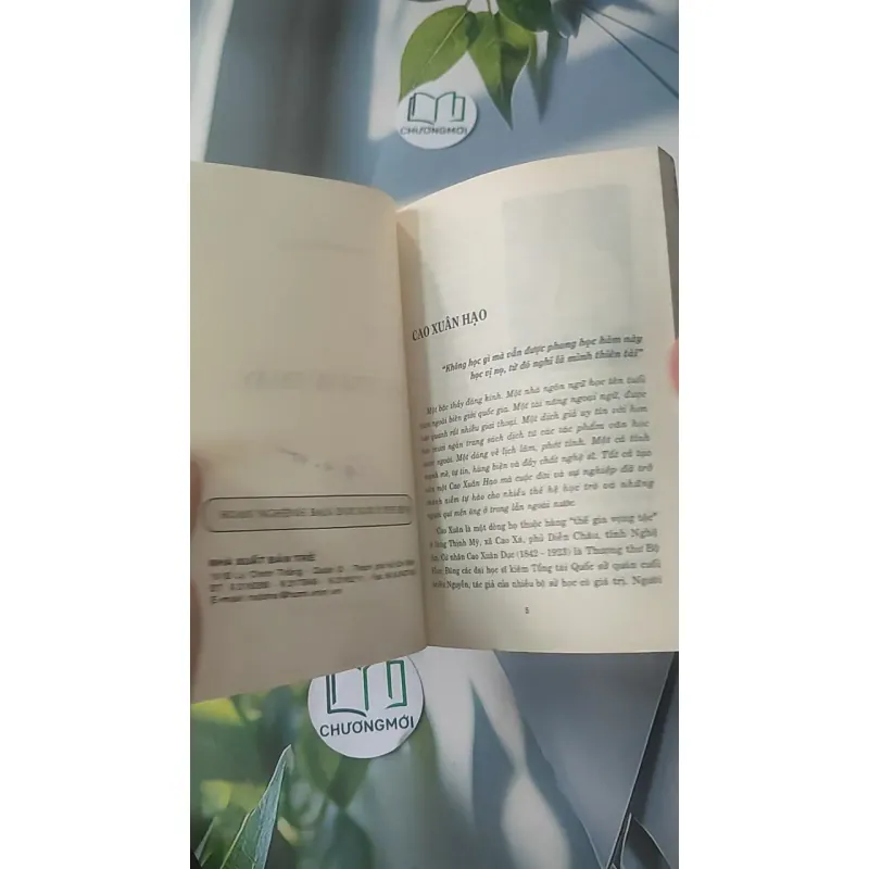 Dạ, Thưa Thầy - Phan Hoàng 928525