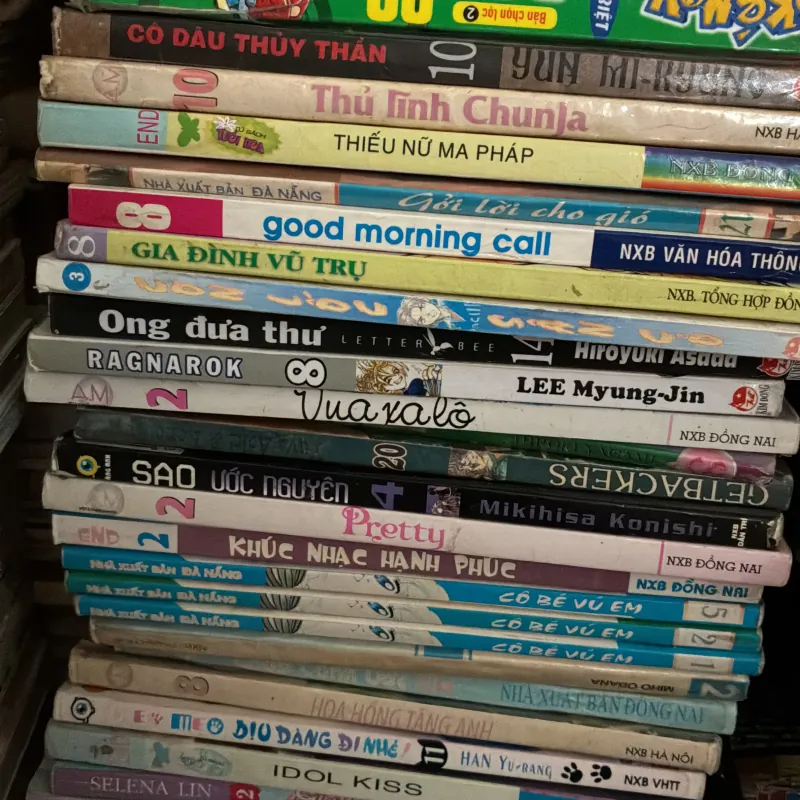 Truyện lẻ tập Decor, trang trí (10kg) 785805