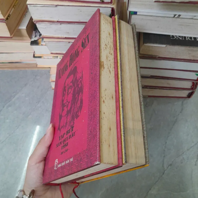 TẠP BÚT NĂM NHÂM THÂN 1992 VÀ TẠP BÚT NĂM QUÍ DẬU 1993 - VƯƠNG HỒNG SỂN 781333