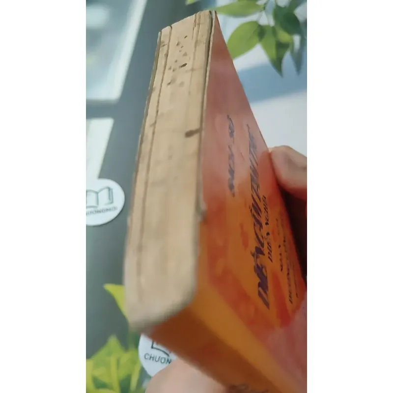 [MIỄN PHÍ BỌC SÁCH] Diện Cẩm Tam Thế - Dương Công Hầu 727288