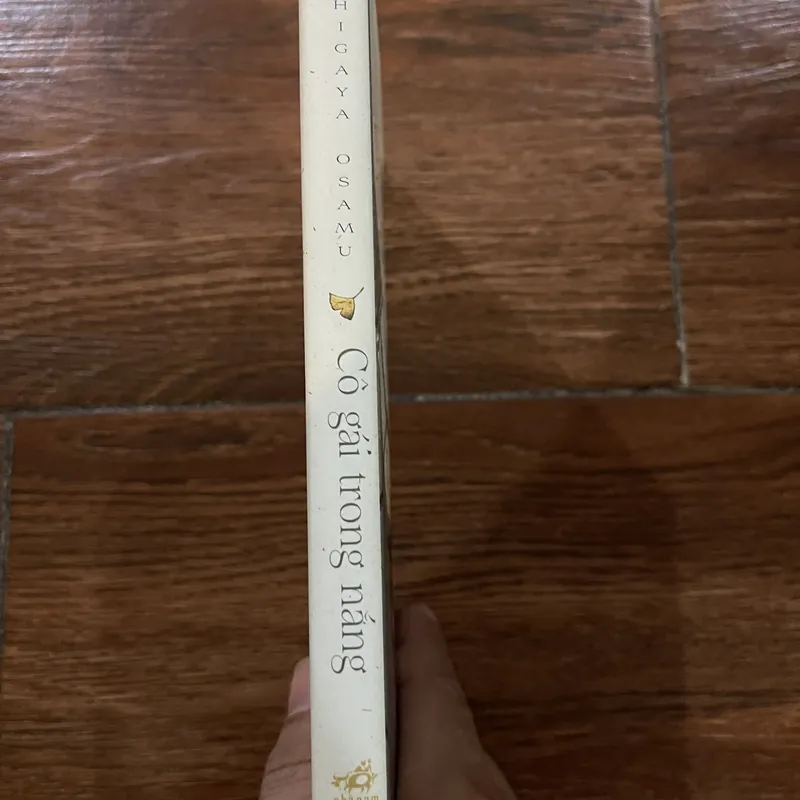 Cô gái trong nắng (8) 591838
