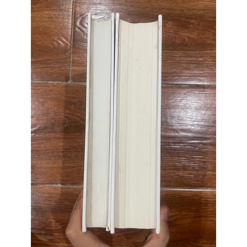 Lê Văn Siêu combo 2 cuốn 469385