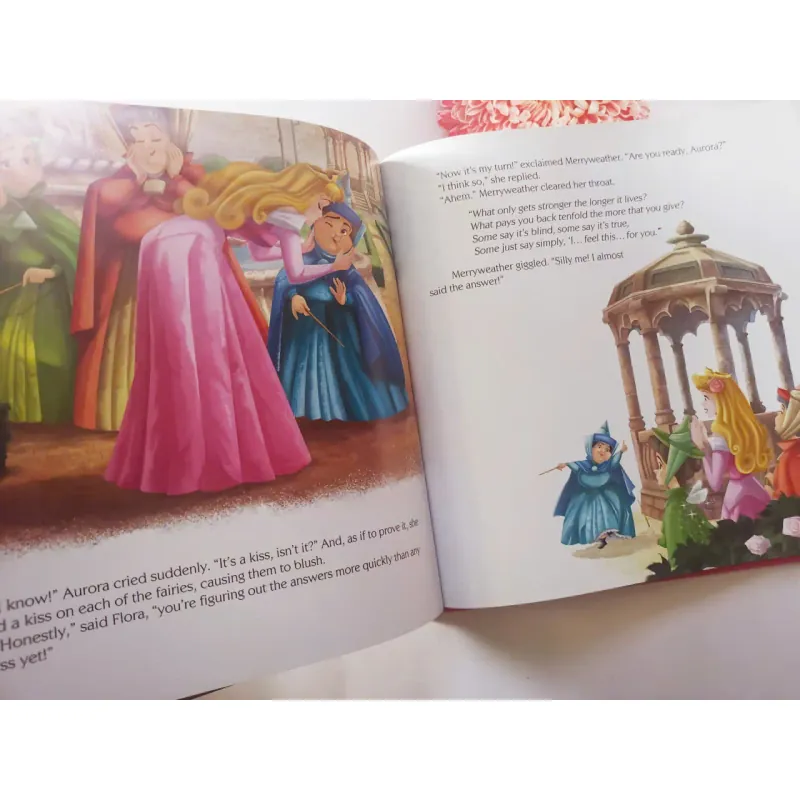 Disney Princess Storybook Collection 961402