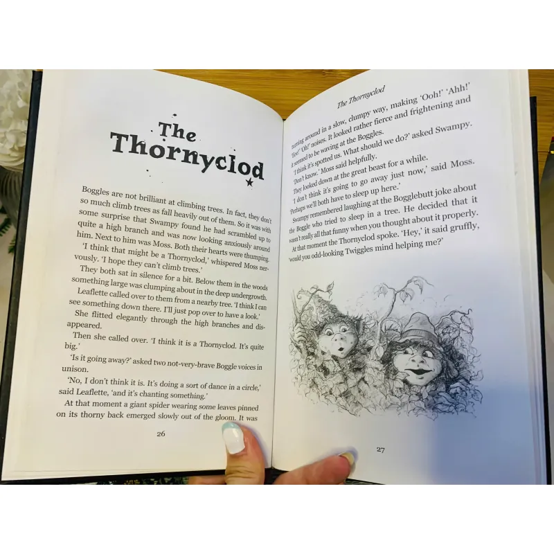 [Sách tiếng Anh 2hand] Like new 90% - A Boggle at Bewilderwood – Tom Blofeld 958415