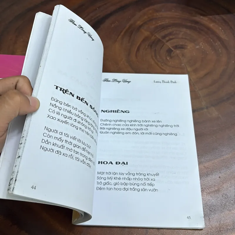 II Thơ: Tình Mẹ + Tấm Lòng Vàng - Lương Thanh Bình 998086