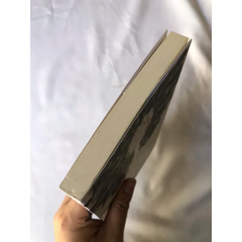 Hình Cảnh Mất Trí - Chan Ho Kei 977456