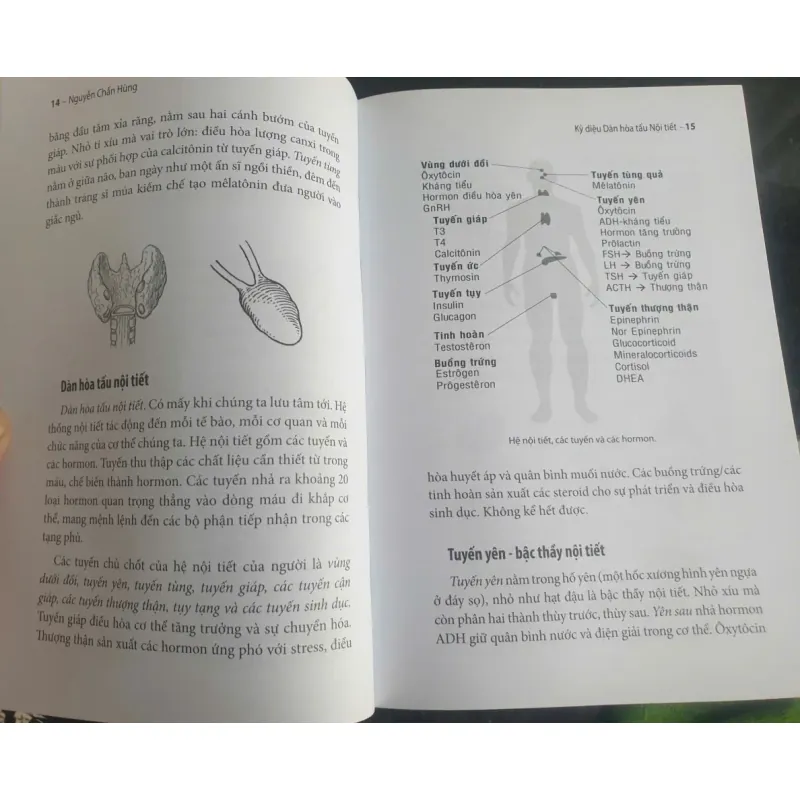 Kỳ Diệu Dàn Điều Hòa Nội Tiết 712080