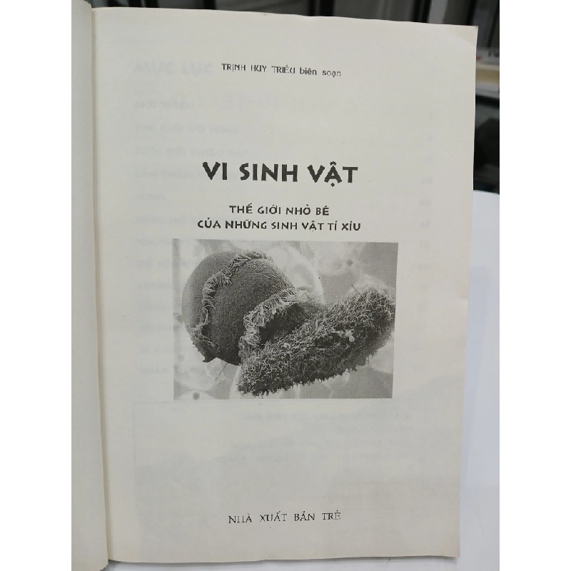 Vi Sinh Vật 549653