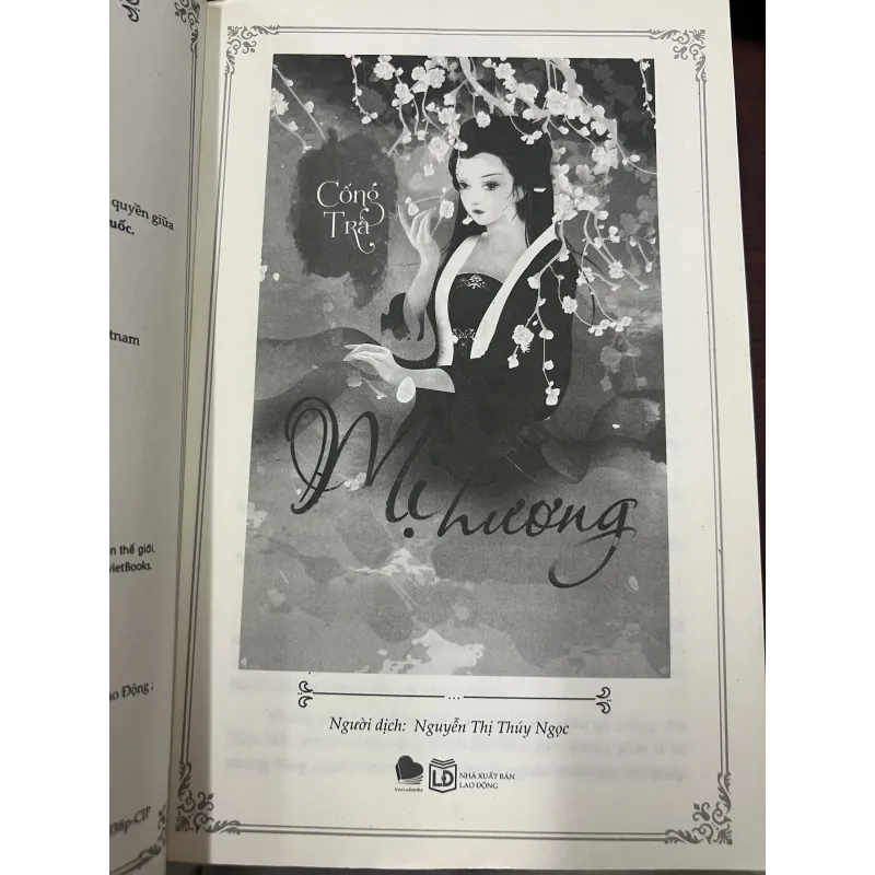 MỊ HƯƠNG - CỐNG TRÀ 1010219