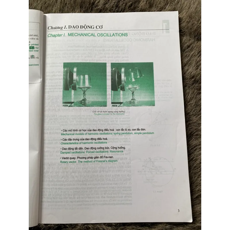 (Song ngữ) Vật Lí 12 song ngữ Việt Anh 603160