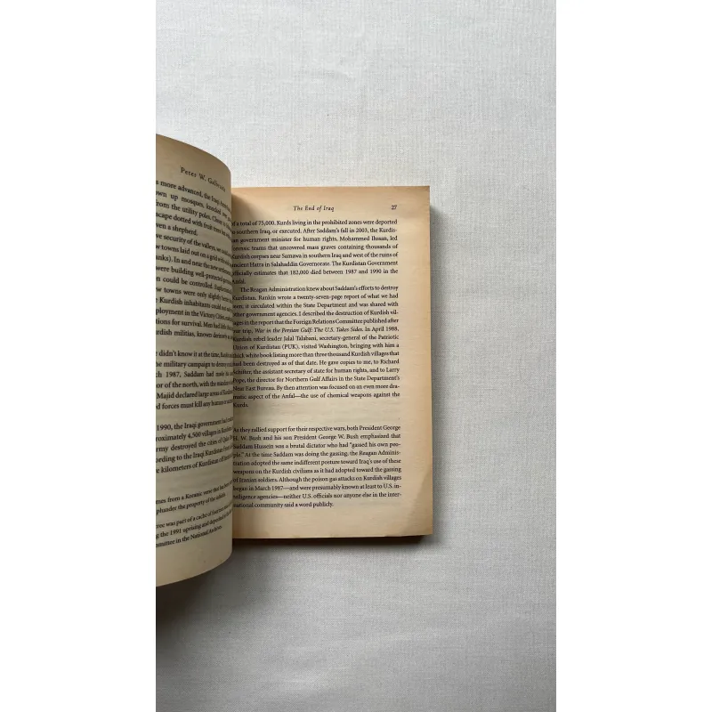 The end of Iraq - Peter Galbraith 1028817