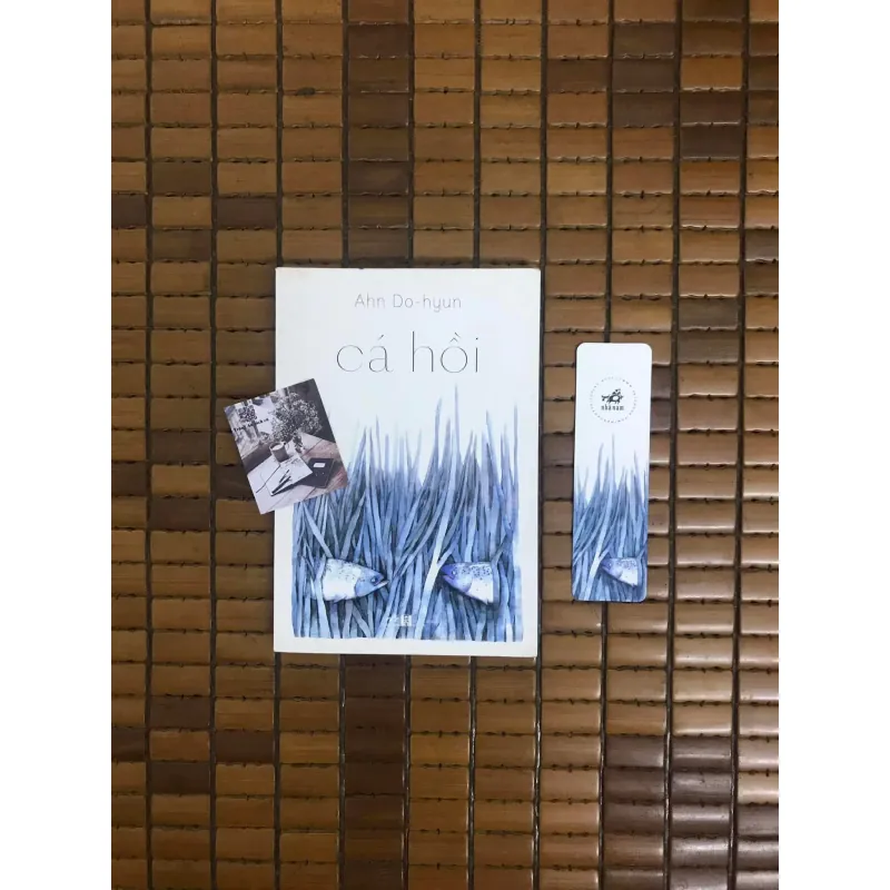 Cá hồi - Ahn Do Huyn 455774