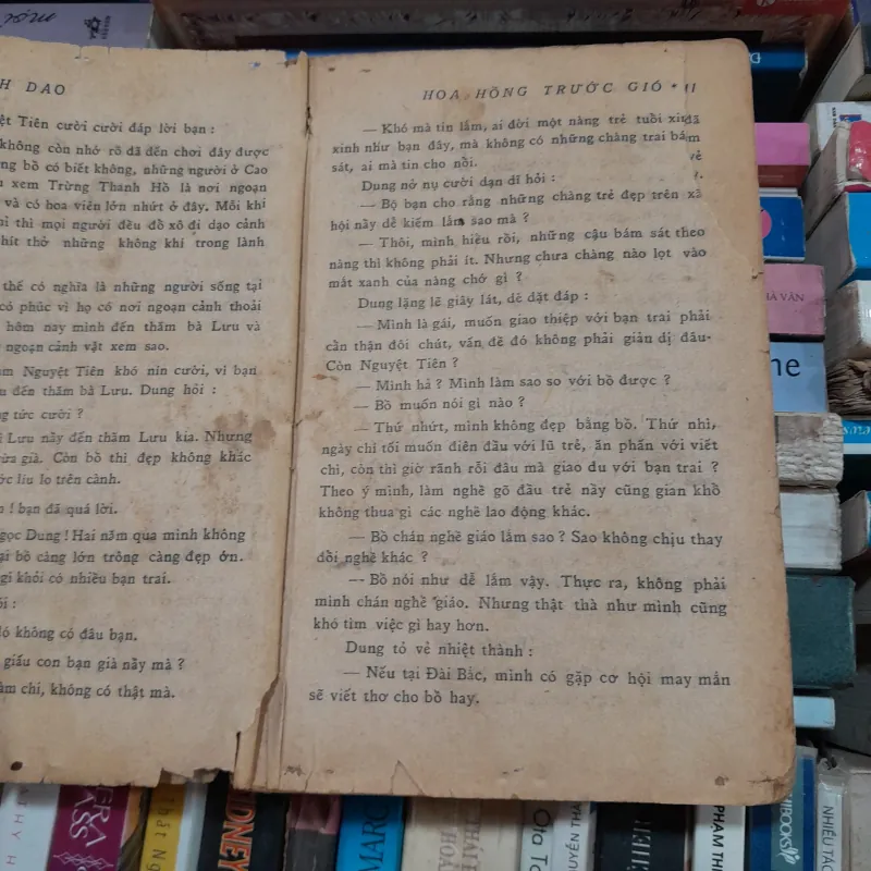 HOA HỒNG TRƯỚC GIÓ - QUỲNH NHƯ 760901