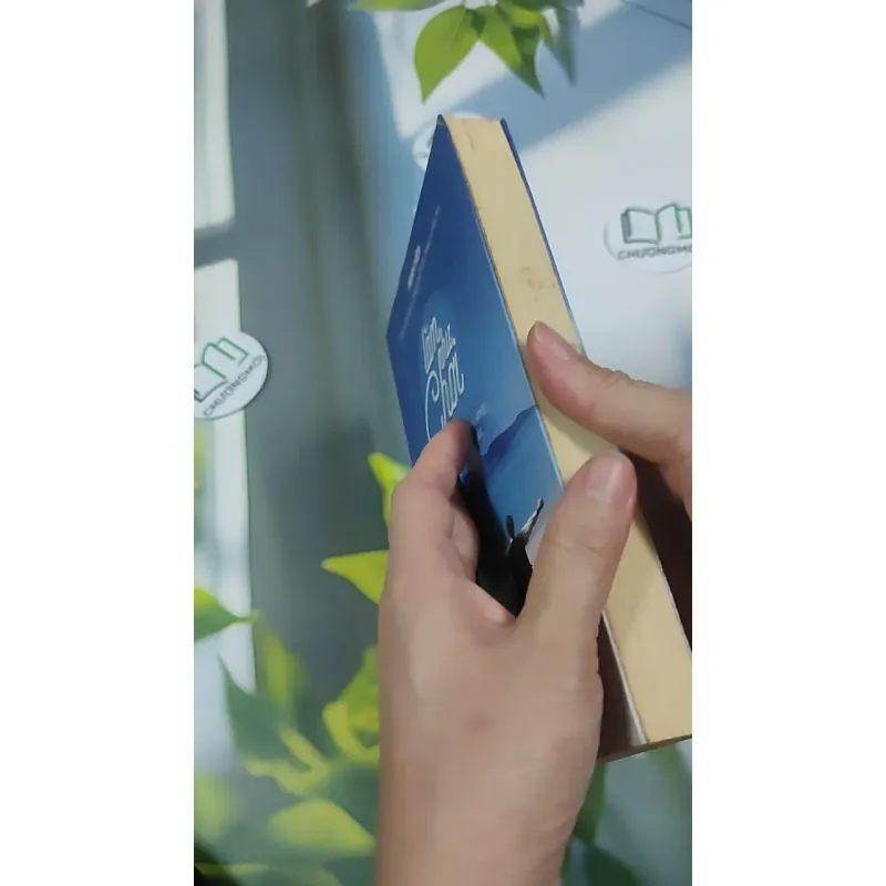 Làm Như Chơi - Minh Niệm 787097