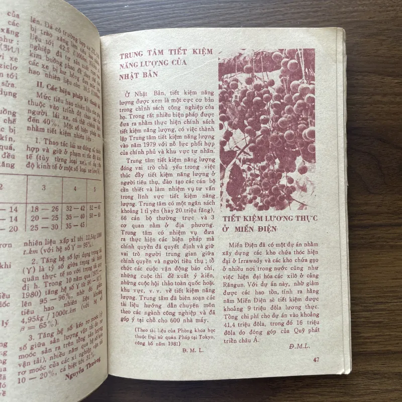Sách lịch kiến thức phổ thông 1984 997104