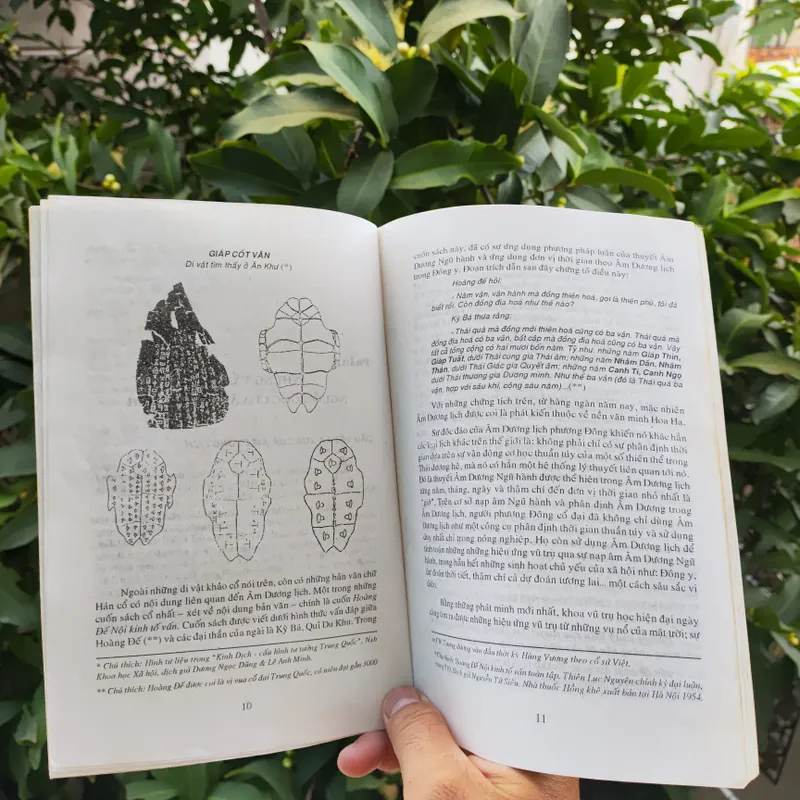 Thời Hùng Vương & Bí Ẩn Lục Thập Hoa Giáp - Nguyễn Vũ Tuấn Anh 722522