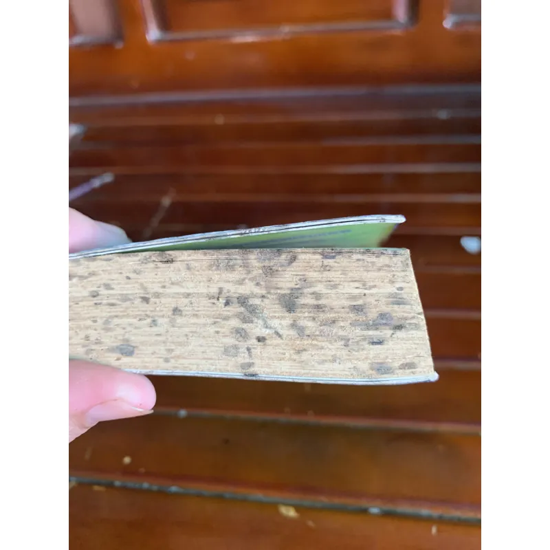 Tôi thấy hoa vàng trên cỏ xanh 1045100