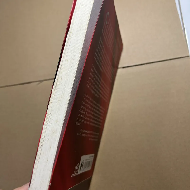 Chấm dứt thời đại trung quốc hàng nhái 570578