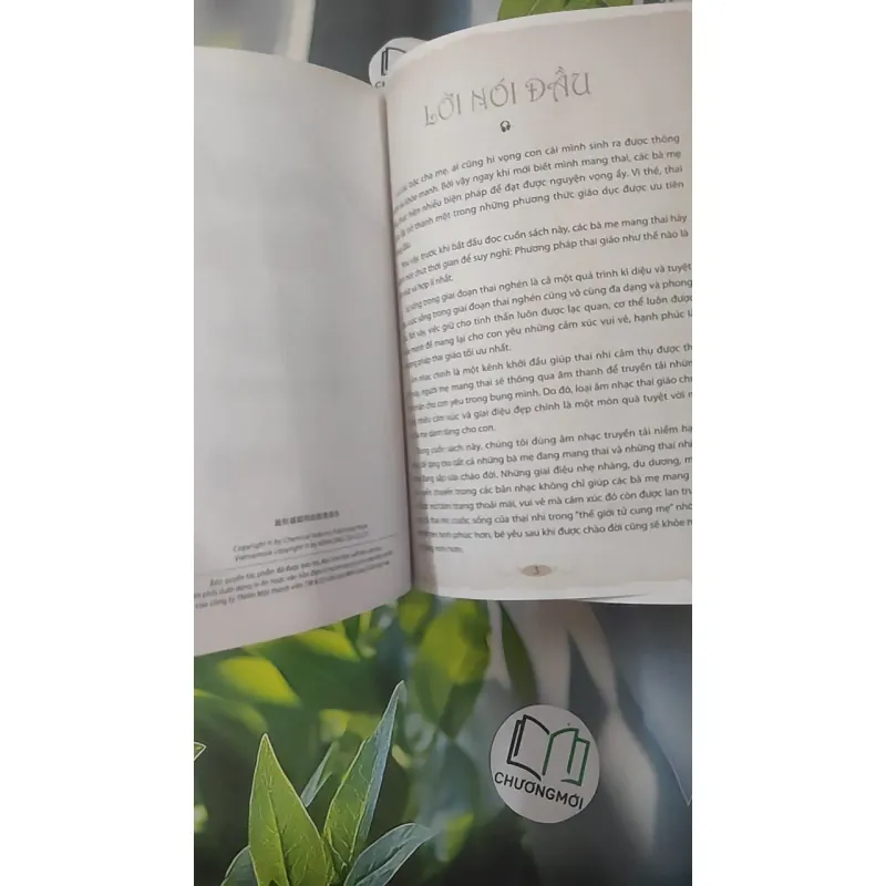 Âm Nhạc Thai Giáo - Càng Nghe Càng Thông Minh - Lý Lợi 1018927