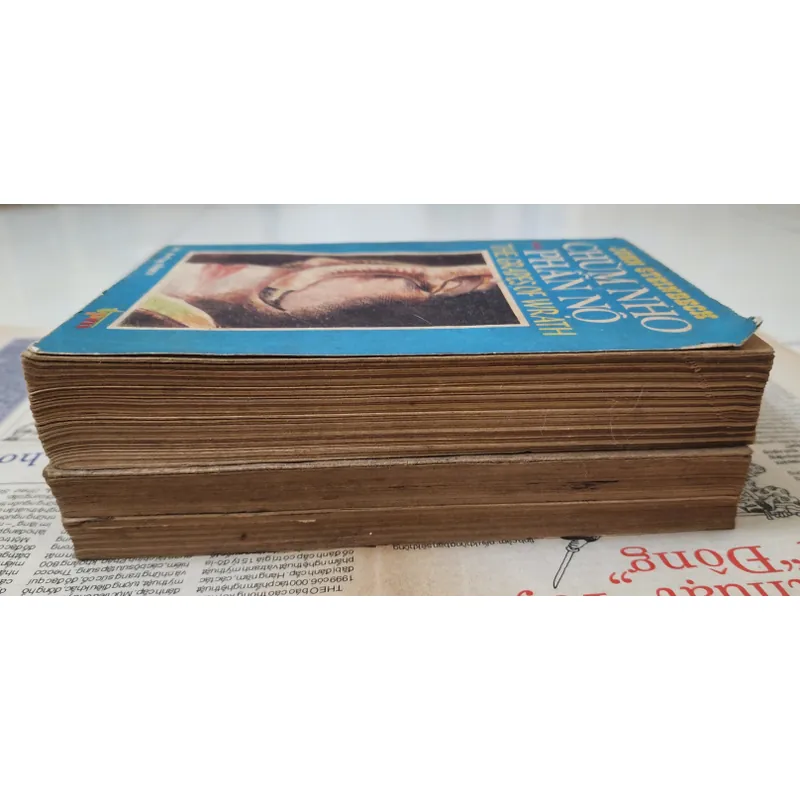 Tác phẩm kinh điển của John Steinbeck: CHÙM NHO PHẪN NỘ 705289