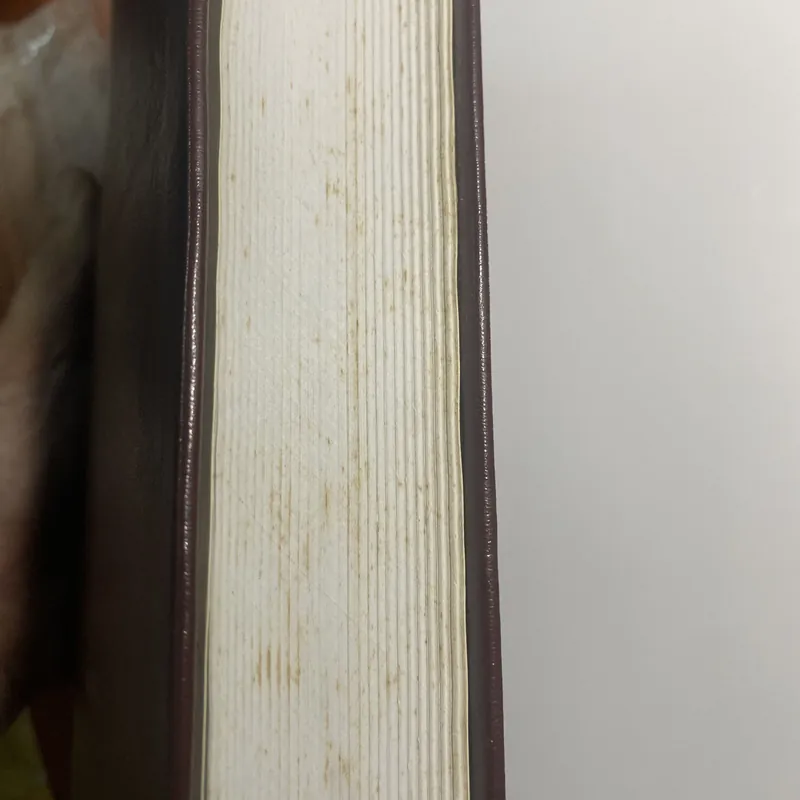 Tân Ước tiếng Pháp - Le Nouveau Testament 673783