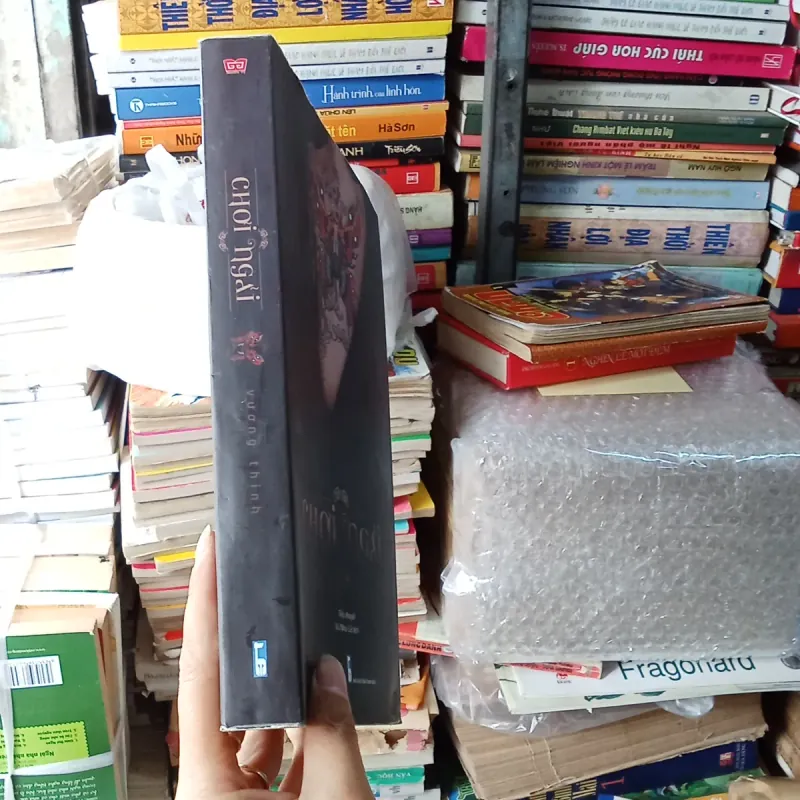 Chơi Ngải - Vương Thinh 792132