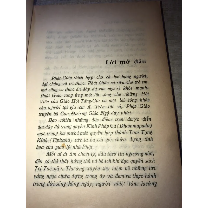 Kinh pháp cú 993755