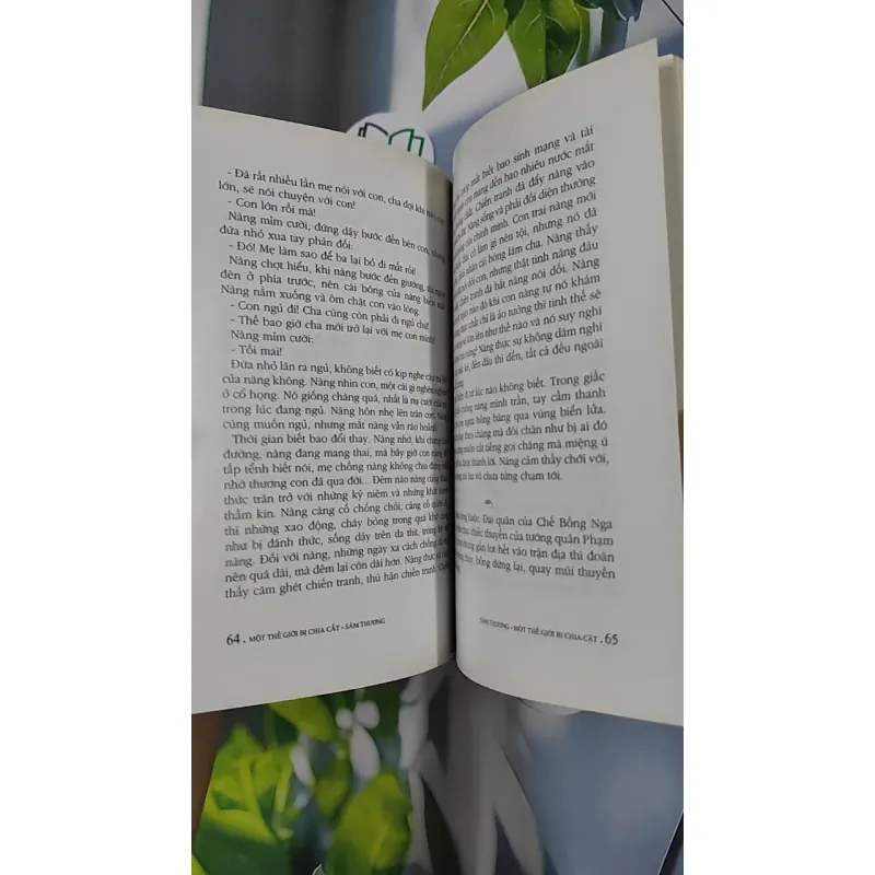 Một Thế Giới Bị Chia Cắt - Sâm Thương 798433