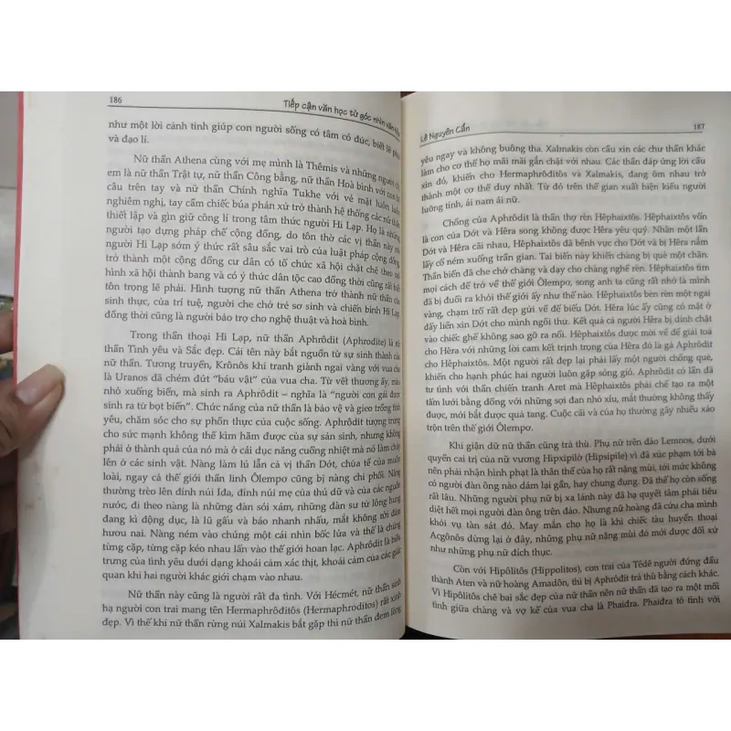 TIẾP CẬN VĂN HỌC TỪ GÓC NHÌN VĂN HÓA - Lê Nguyên Cẩn 701815