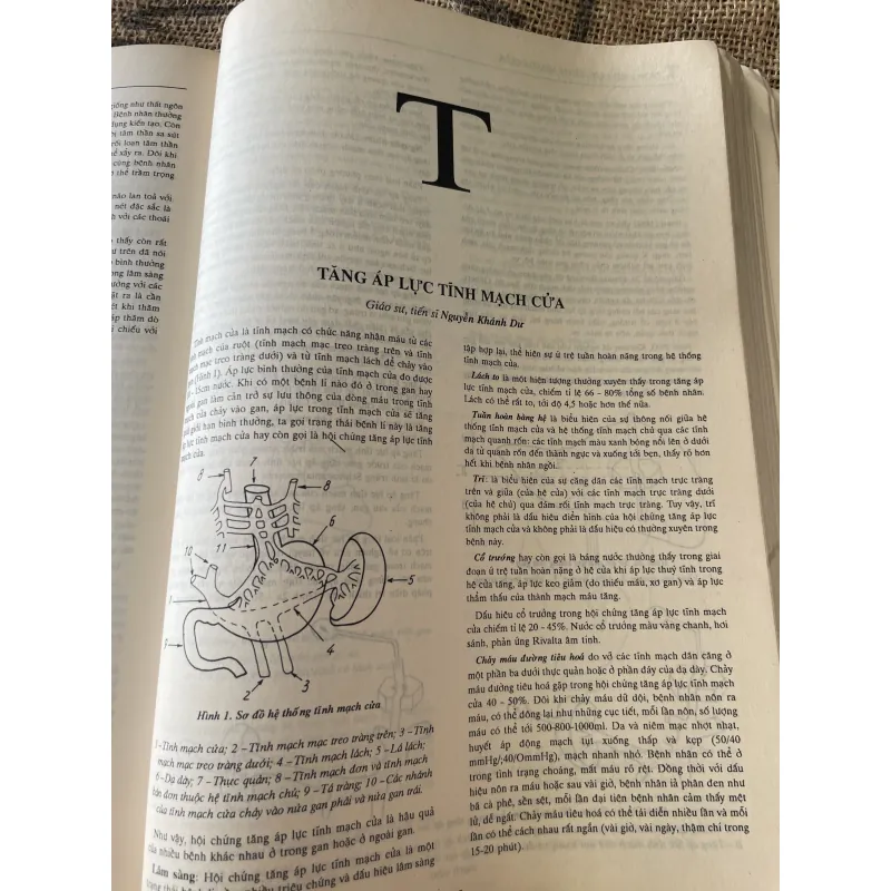 Bách khoa bệnh học 2 ; 500 trang khổ lớn  1019546