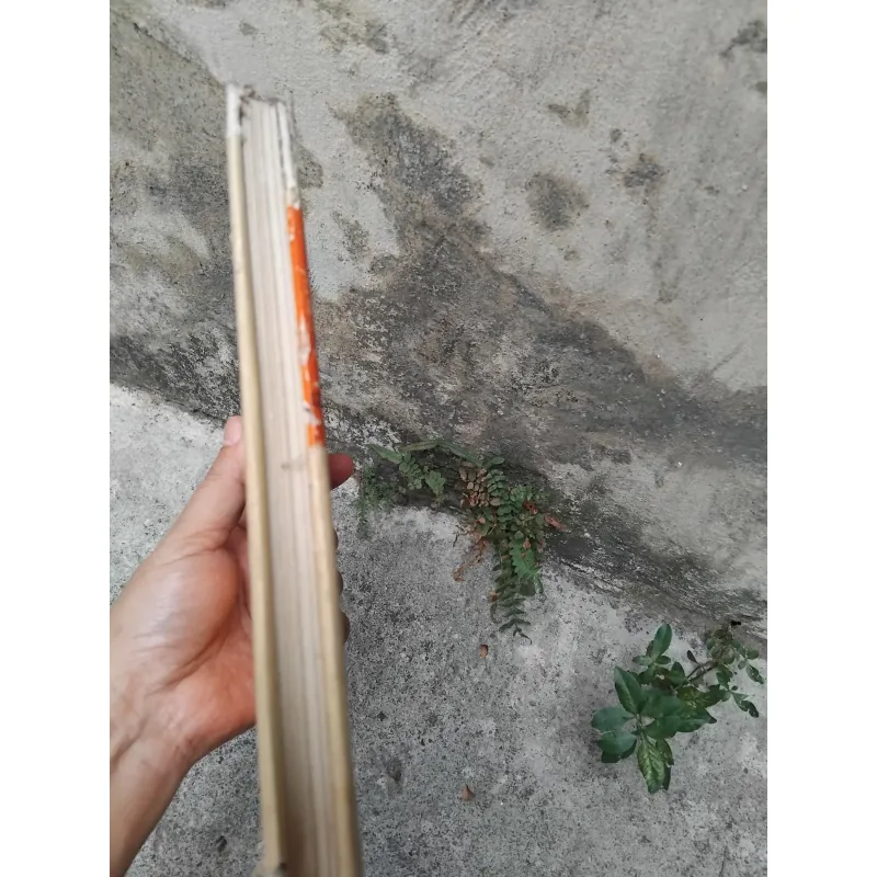 Khoáng vật học giải trí của Fecxman  1025088