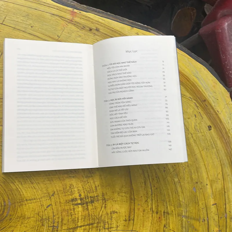 TUỔI TRẺ ĐÁNG GIÁ BAO NHIÊU- ROSIE NGUYỄN KÈM NOTEBOOOK 704313