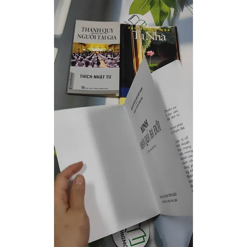 Combo: Tu Nhà, Thanh Quy Dành Cho Người Tại Gia, Kinh Nhân Quả Ba Đời, Kinh A Di Đà Nghĩa - Thích Chân Tính 776173