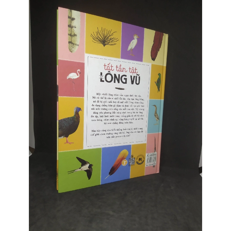 Tất tần tật về lông vũ mới 90% HCM1712 910696