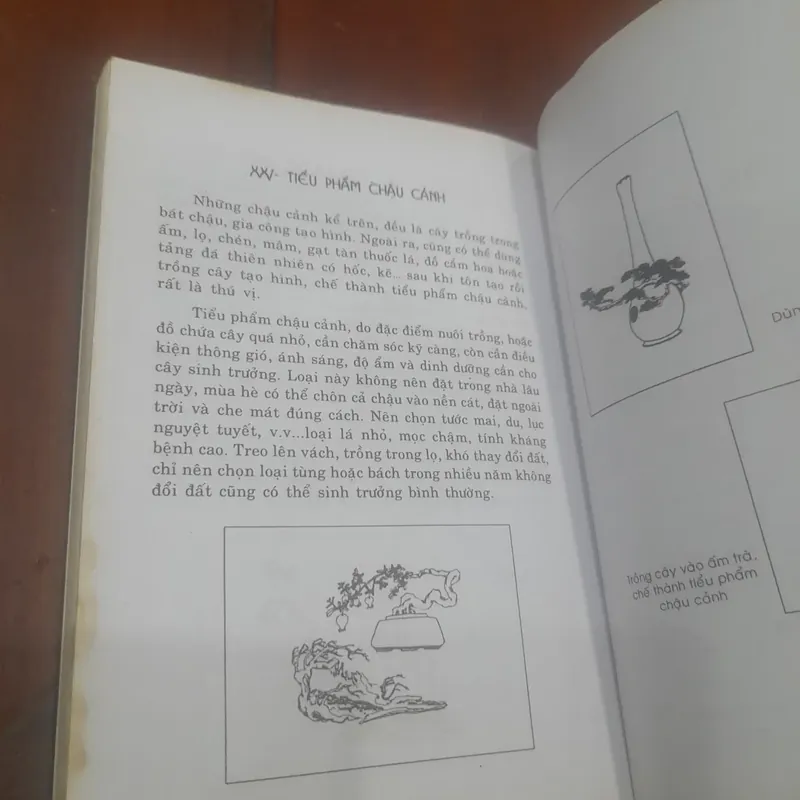 Nghệ thuật CHẾ TÁC CHẬU CẢNH 715538