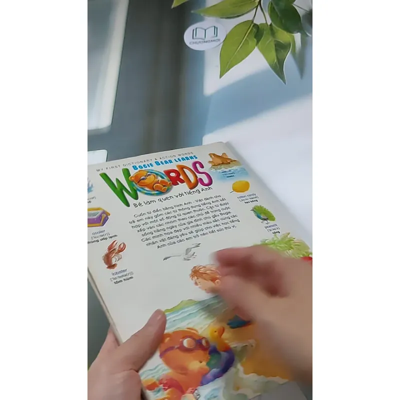 Gấu Bogie Học Từ - NXB Dân Trí - Đông A (Dan Tri - Dong A Publishing) 607708