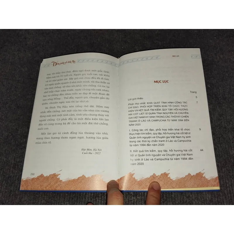 ĐÓN ANH VỀ ĐẤT MẸ 991153