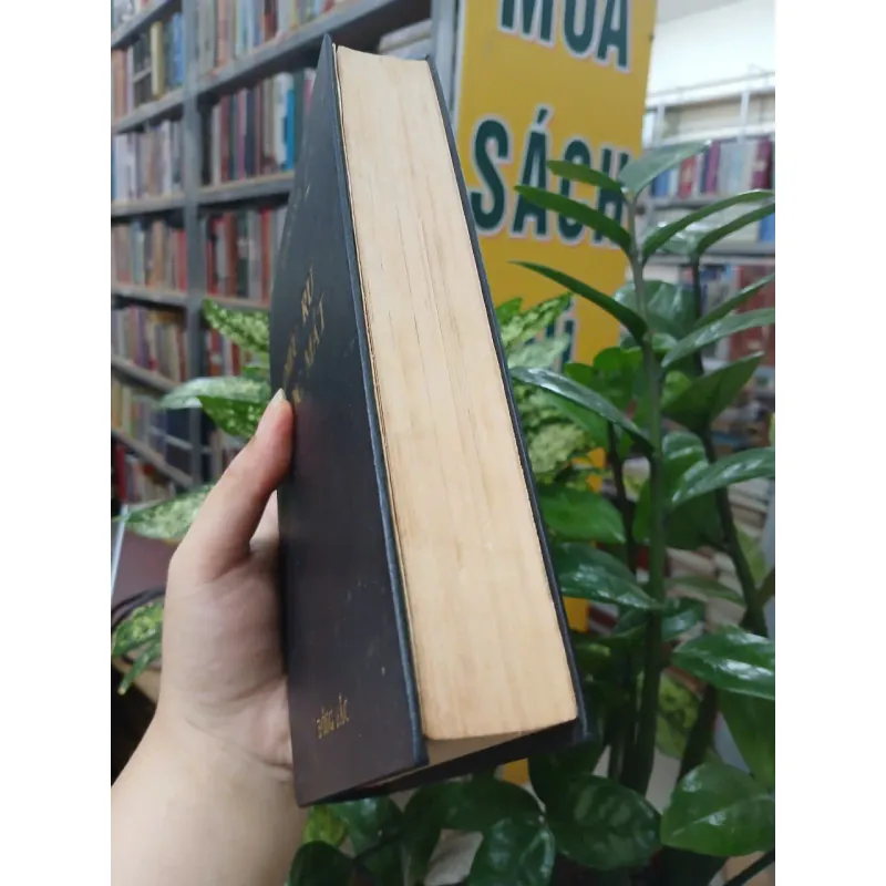 ĐIỆU RU NƯỚC MẮT - DUYÊN ANH 1036673