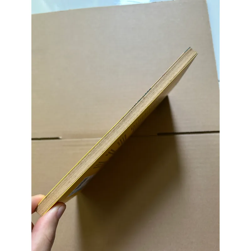 Thoạt kỳ thủy - Nguyễn Bình Phương 734313