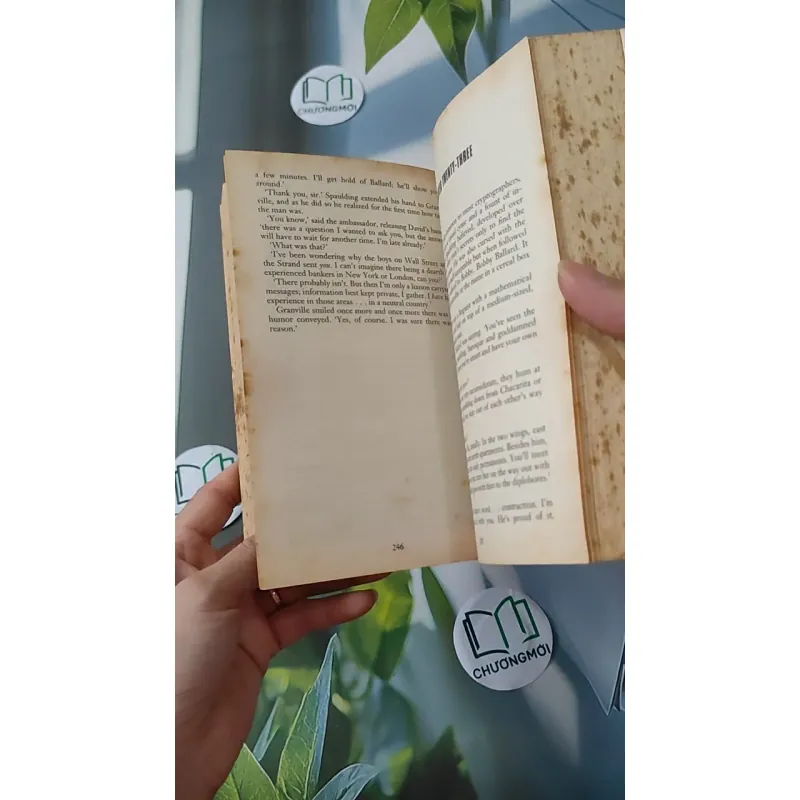 The Rhinemann Exchange - Robert Ludlum 1027201