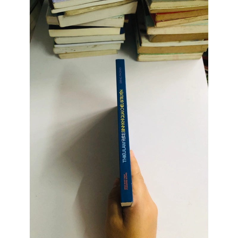 THIẾU LÂM CHÍNH TÔNG BINH KHÍ QUÁI CHIÊU BÍ TRUYỀN 542306
