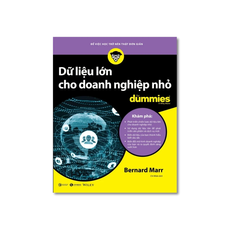 Dữ liệu lớn cho doanh nghiệp nhỏ for Dummies - Bernard Marr 721542