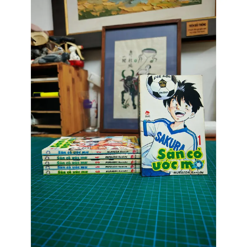 Truyện Tranh Sân Cỏ Ước Mơ (2004) 605285