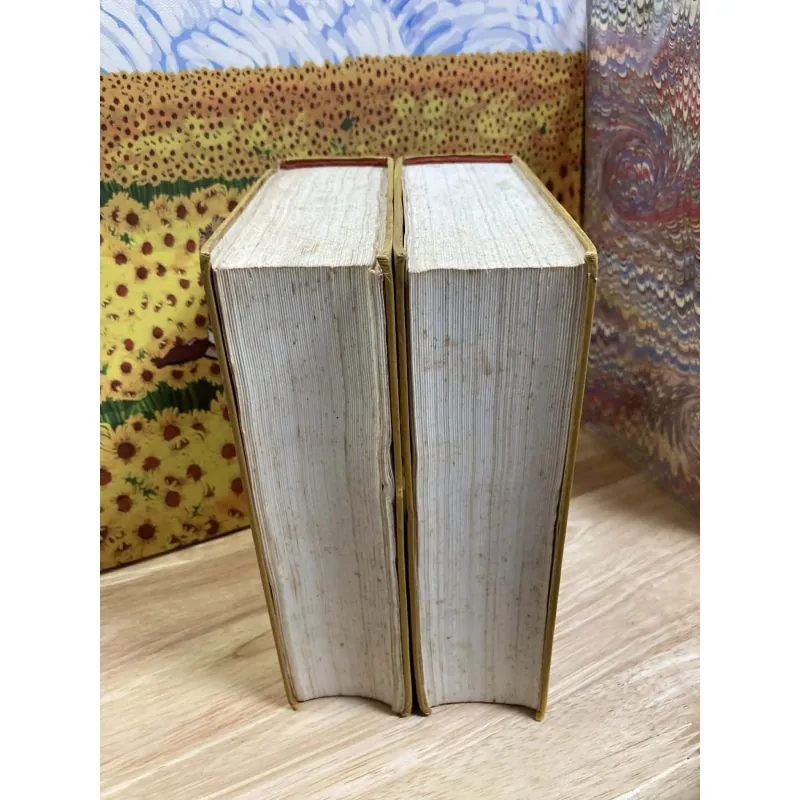 Tam Quốc Chí Diễn Nghĩa - Tử Vi Lang dịch 995966