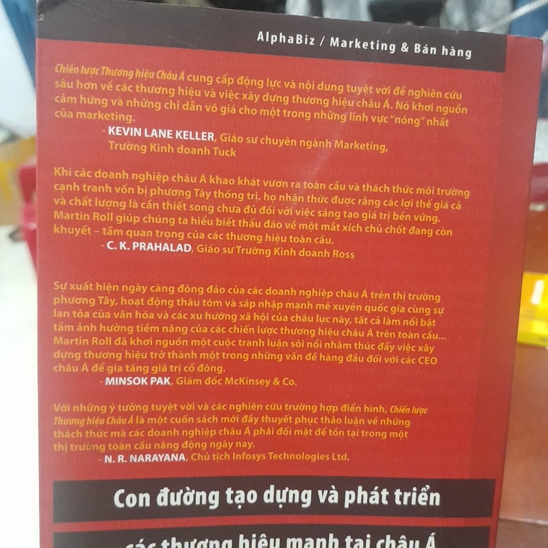 Martin Roll - CHIẾN LƯỢC THƯƠNG HIỆU CHÂU Á 466393